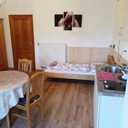 Vicze Apartmanhaz Guest house *