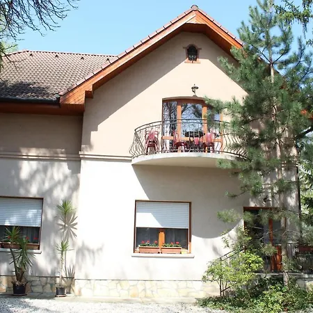 Vicze Apartmanhaz *