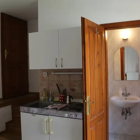 Vicze Apartmanhaz Pensionat *