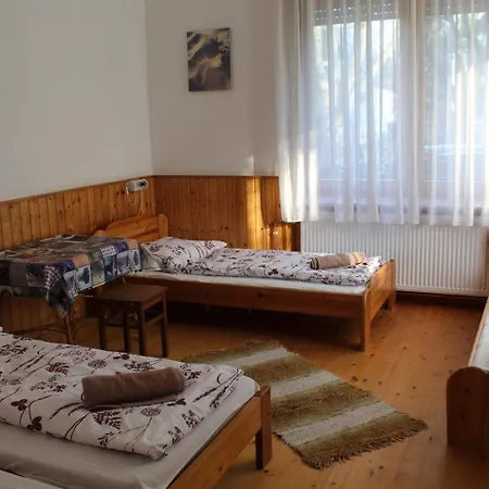 Guest house Vicze Apartmanhaz *