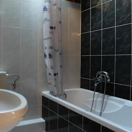 Guest house Vicze Apartmanhaz *