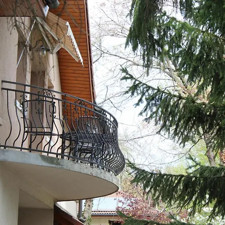 Guest house Vicze Apartmanhaz *