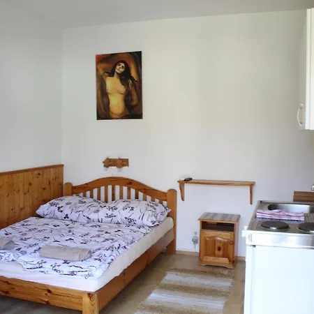 Vicze Apartmanhaz *
