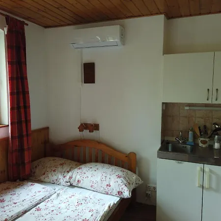 Vicze Apartmanhaz *