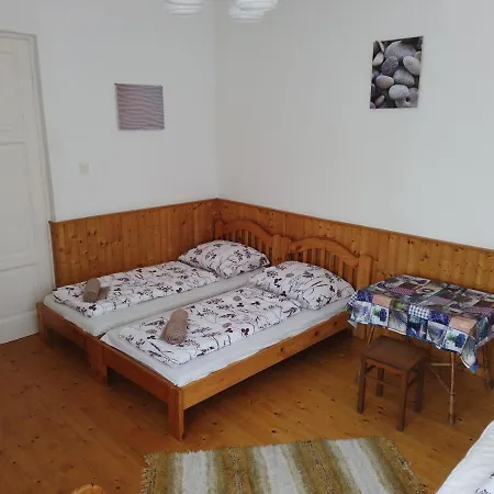 Vicze Apartmanhaz Guest house