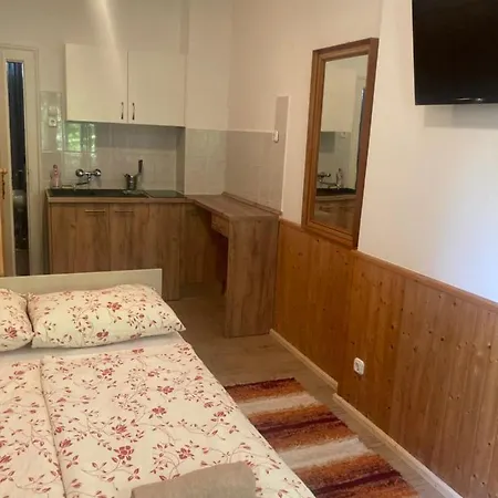 Vicze Apartmanhaz *