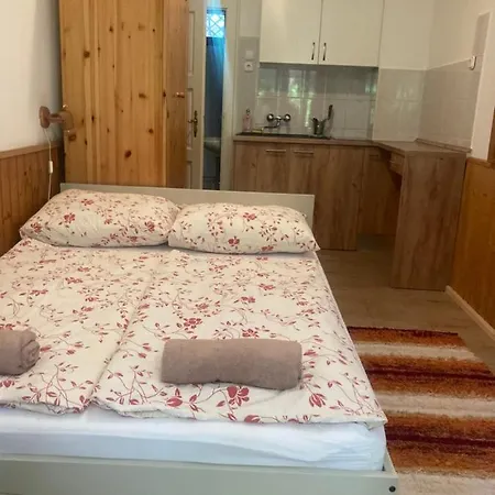 Guest house Vicze Apartmanhaz Siofok