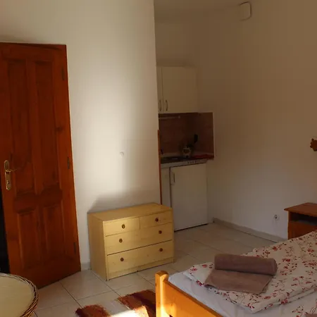 Vicze Apartmanhaz Guest house *