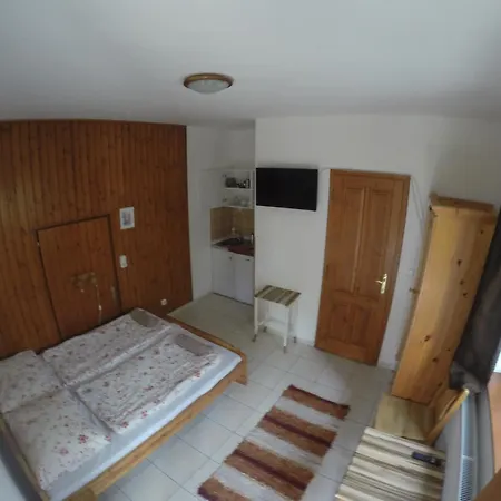 Guest house Vicze Apartmanhaz