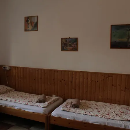 Guest house Vicze Apartmanhaz *