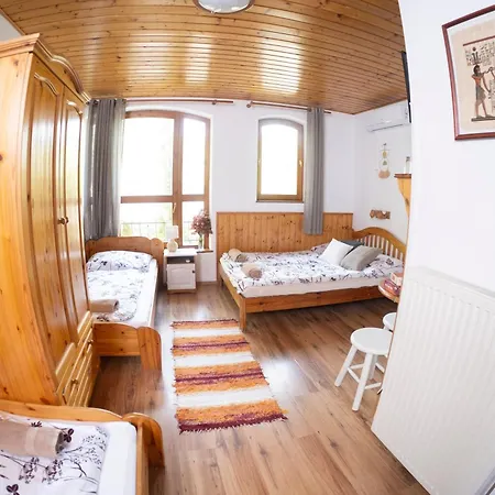 Vicze Apartmanhaz Pensionat *