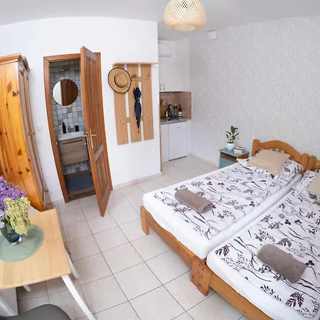Vicze Apartmanhaz * Siofok