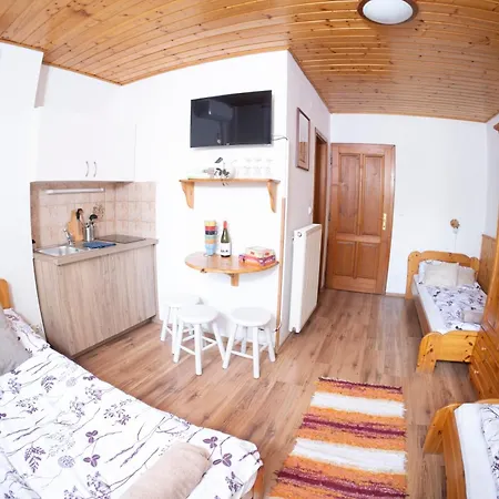 Guest house Vicze Apartmanhaz