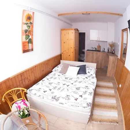 Vicze Apartmanhaz *