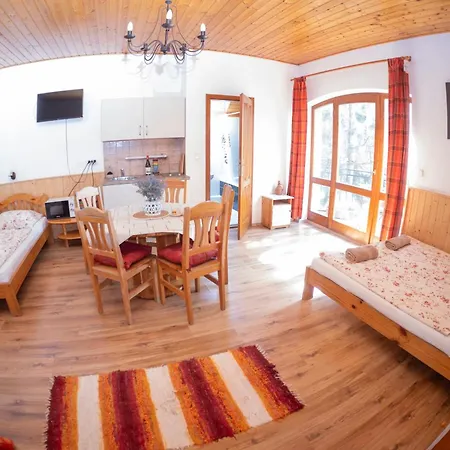 Vicze Apartmanhaz Guest house