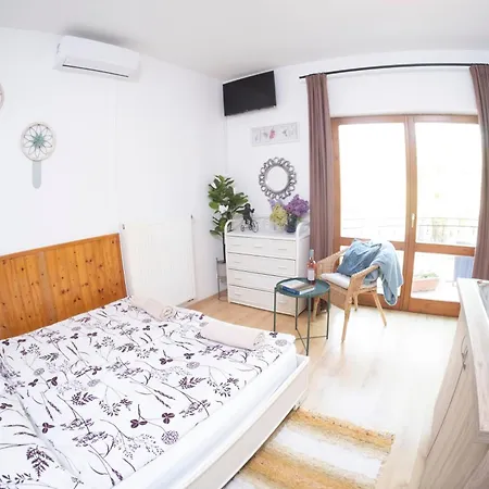 Guest house Vicze Apartmanhaz *