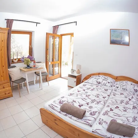 Vicze Apartmanhaz Guest house
