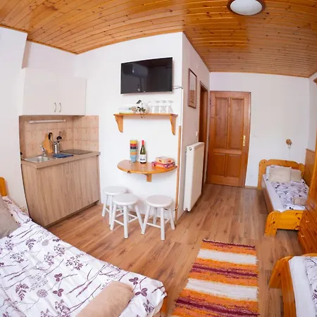 Πανσιόν Vicze Apartmanhaz 3*