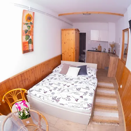 Vicze Apartmanhaz 希欧福克