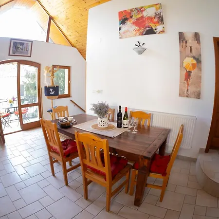 Vicze Apartmanhaz Πανσιόν