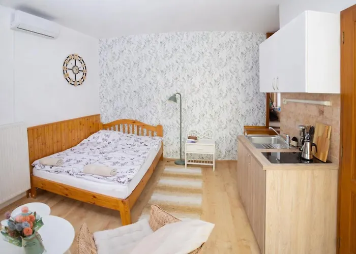 בית הארחה Vicze Apartmanhaz