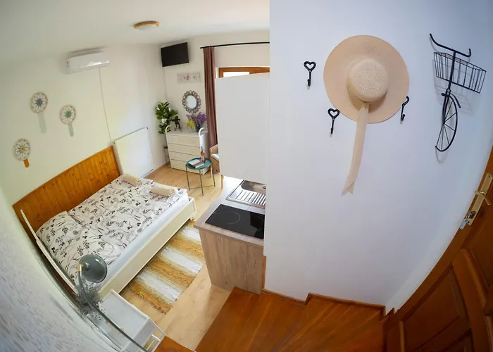 בית הארחה Vicze Apartmanhaz שיופוק