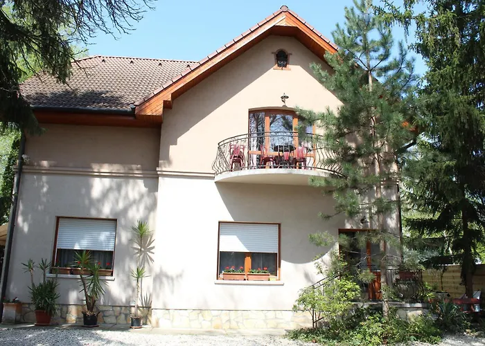 Pensjonat Vicze 3*